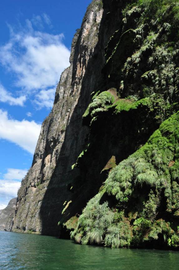 Formação conhecida como Árvore de Natal, com quase 200 metros de altura, no Canyon del Sumidero, em Chiapa del Corso, no México